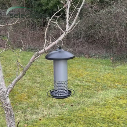 Squirrel Resistant Hanging Bird Mealworm Feeder