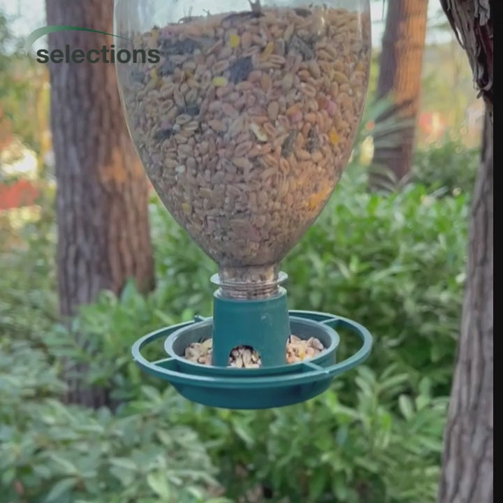 Bottle Top Bird Seed Feeders Set of 6