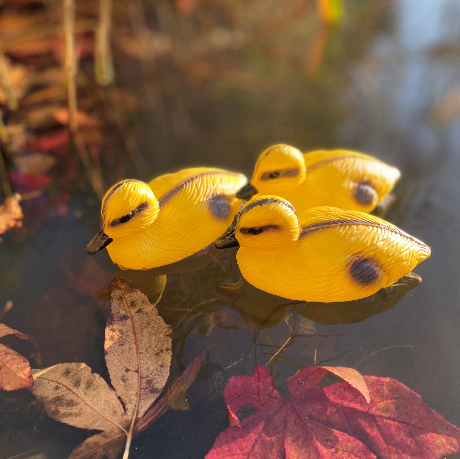 Ducklings Pond Ornament Hunting Shooting Floating Decoy Pack 3