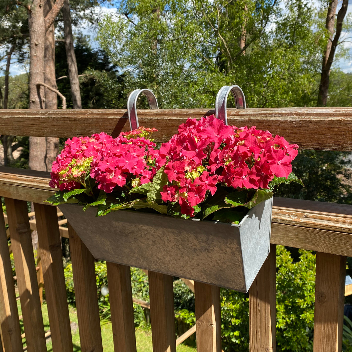 Zinc Balcony Railing Hanging Planters - Pack of 2