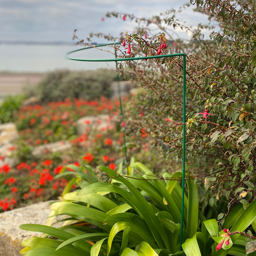 Garden Plant Support Connecting Interlocking Metal Hoops Pack 10