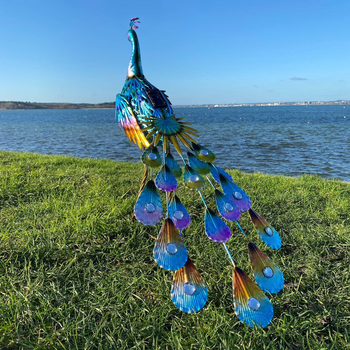 Strutting Peacock Solar Light Garden Ornament