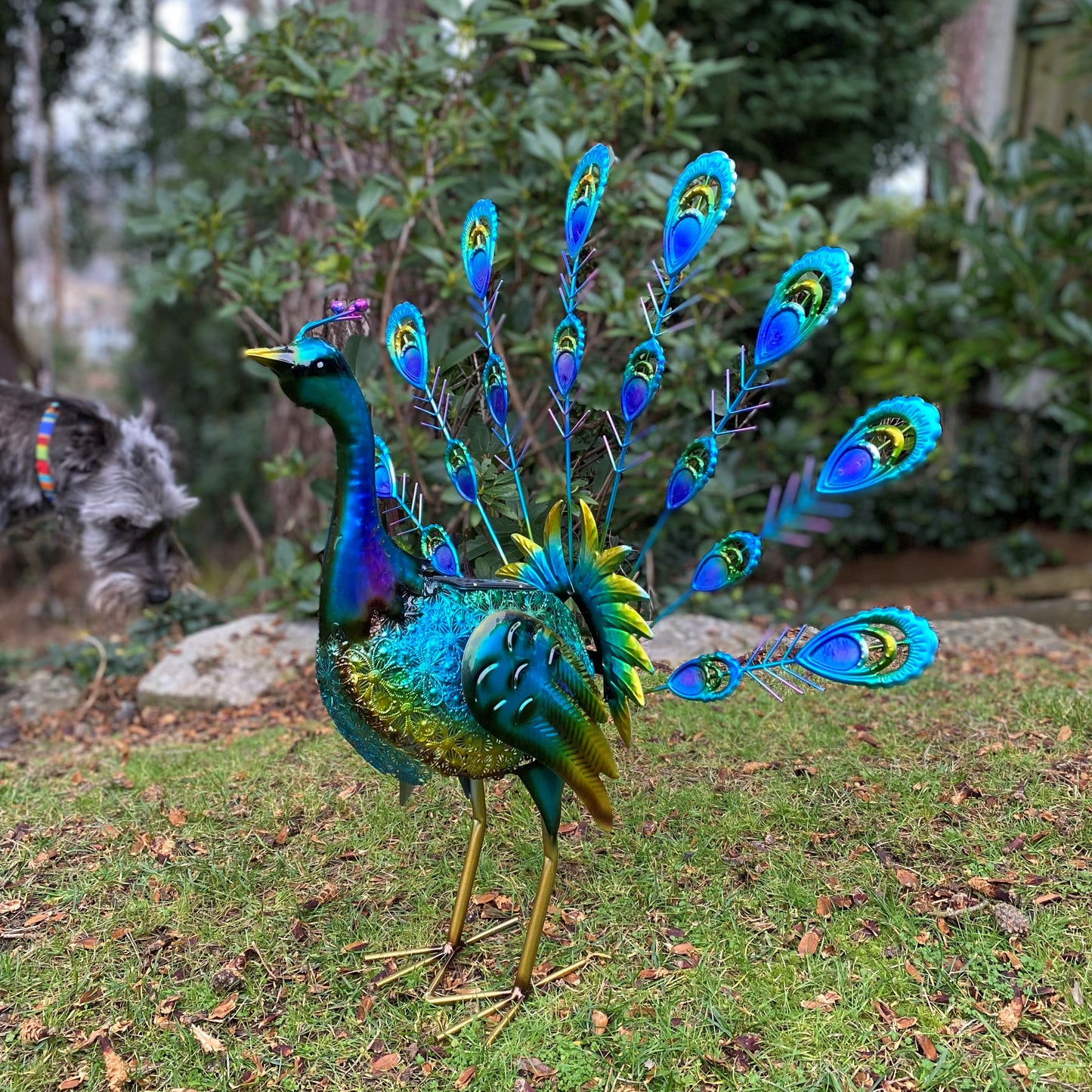 Fan Tail Peacock Solar Light Garden Ornament