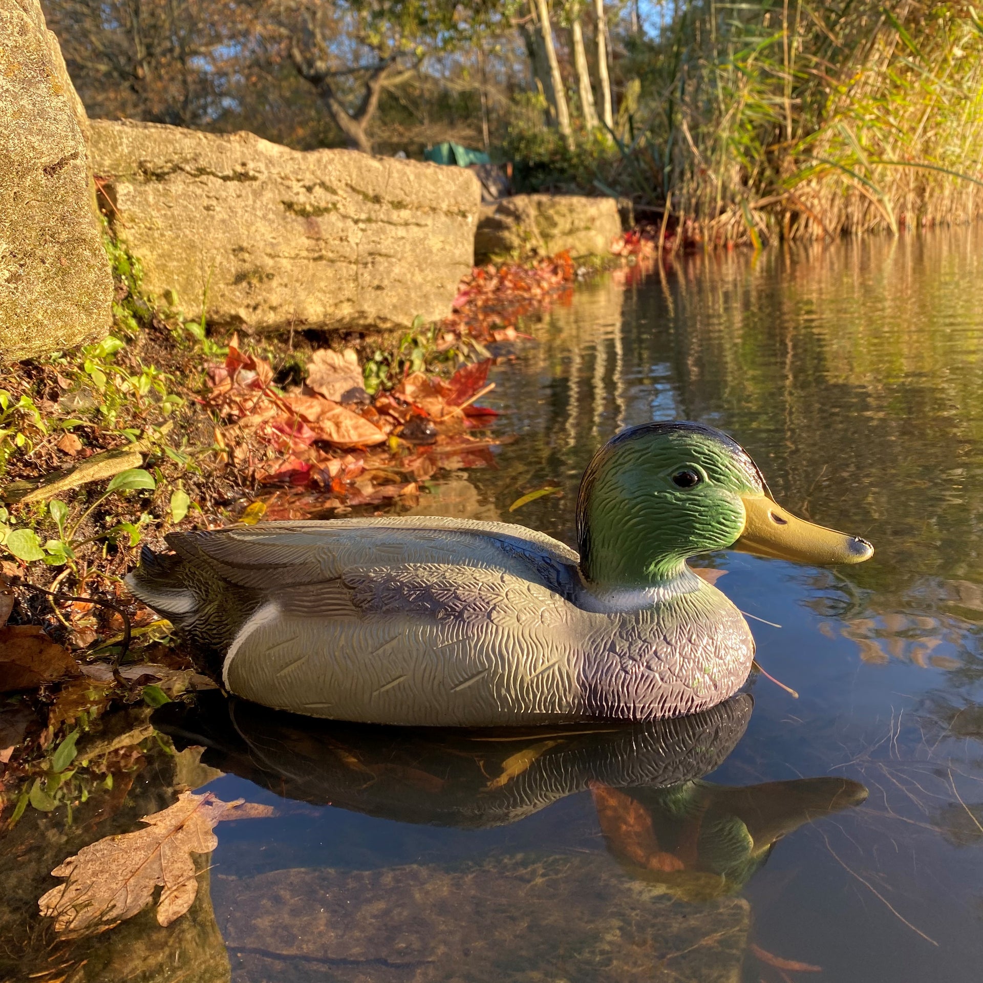 Mallard Duck Pond Ornament Hunting Shooting Floating Decoy