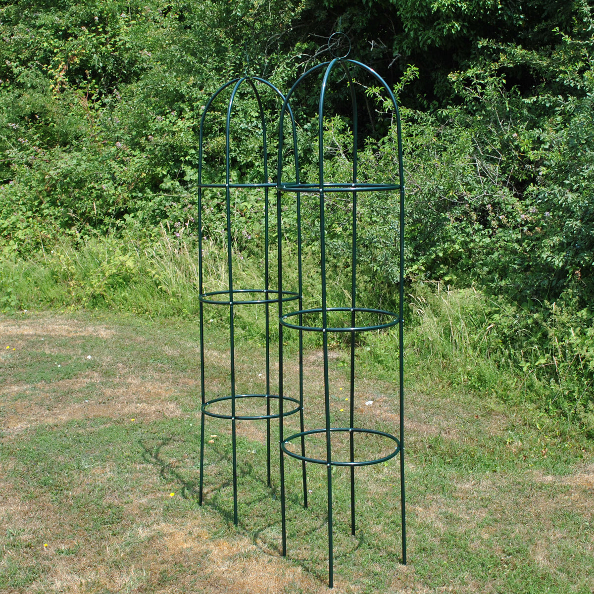 Metal Garden Obelisks Plant Support Climbers Roses Pack 4