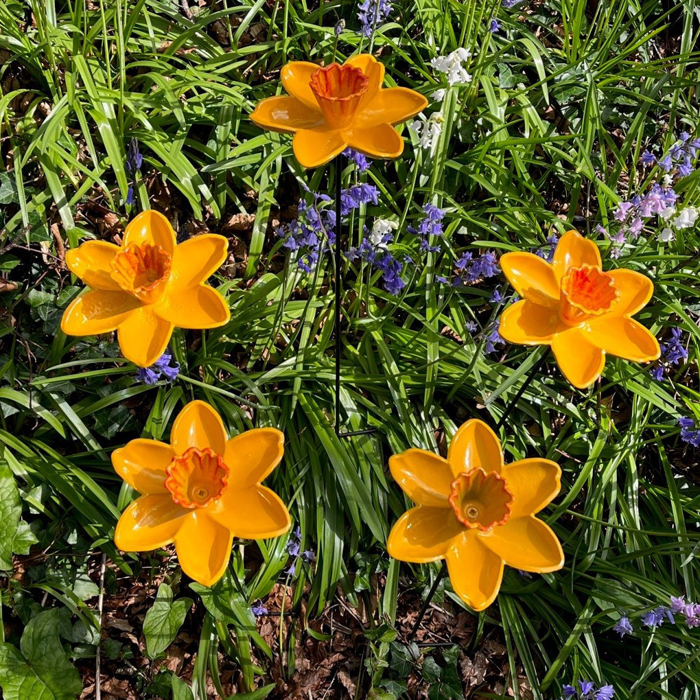Cast Iron Daffodil Dish Wild Bird Feeders