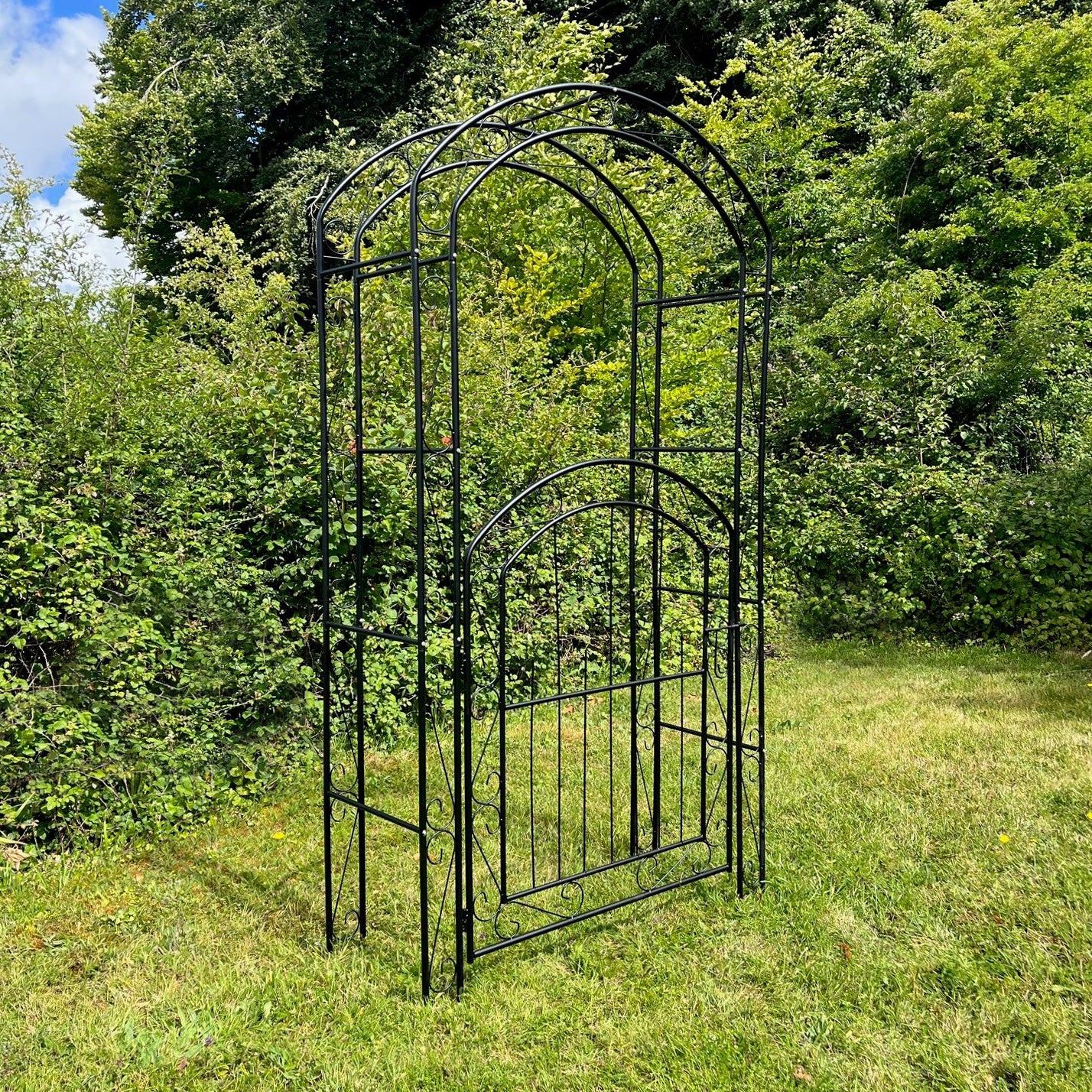 Metal Windsor Garden Arch with Gate and Fixing Pegs