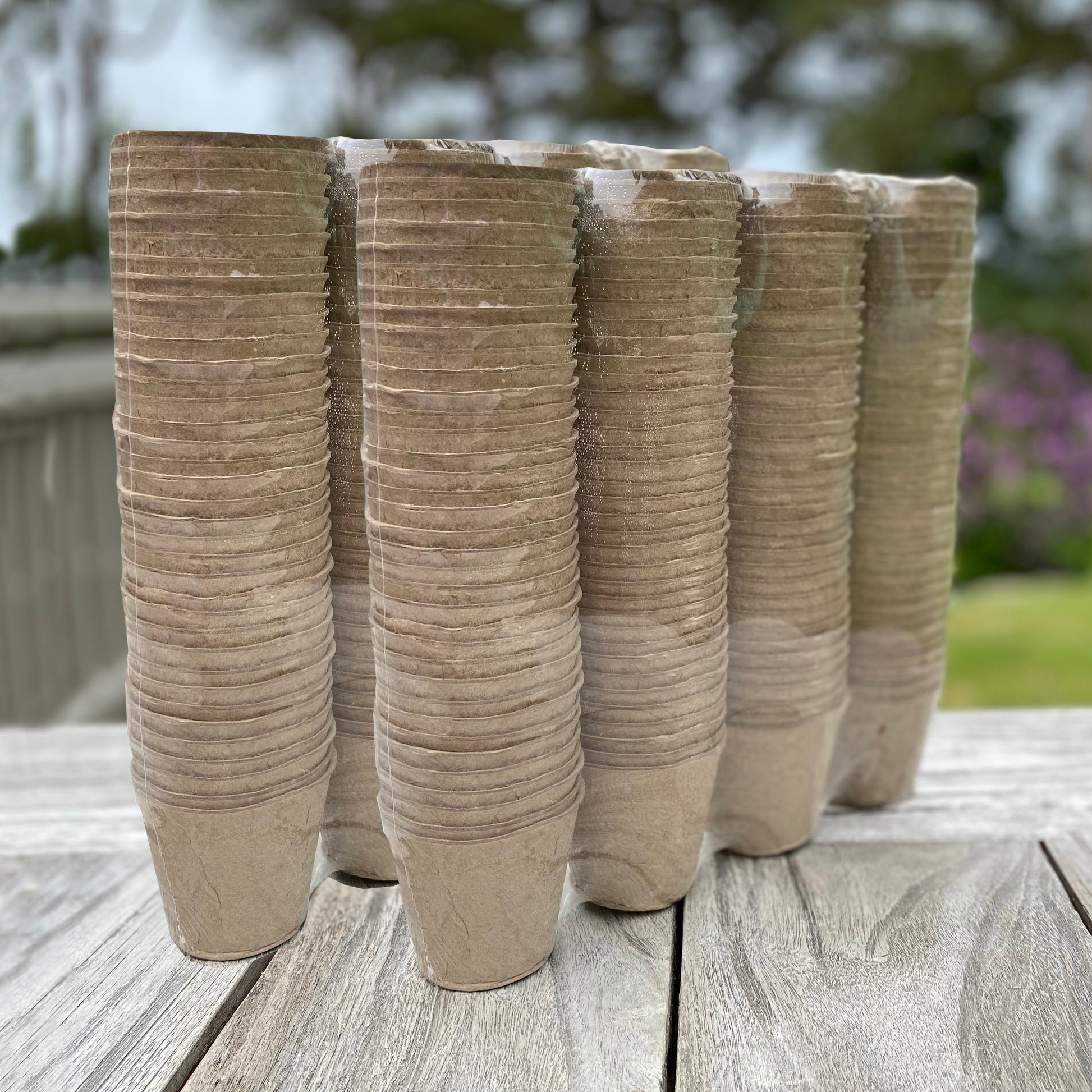 biodegradable plant pots wilko Eco Round Fibre Biodegradable and Compostable Plant Pots (7cm)