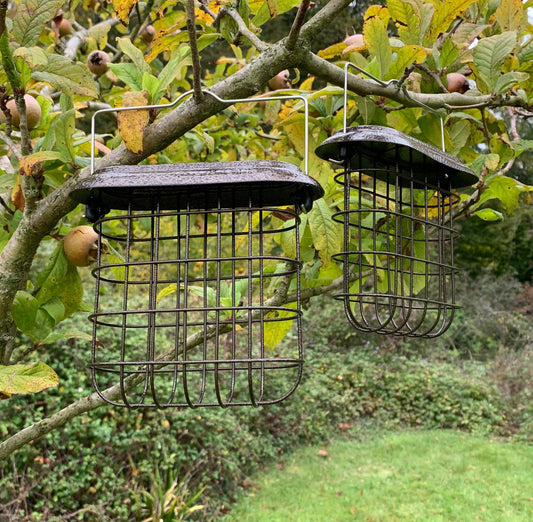 Hanging Suet Block Bird Feeders For Selections Metal Bird Feeding Stations (Set of 2)