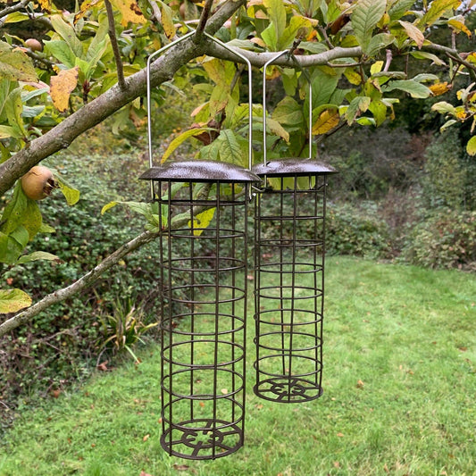 Hanging Fatball Bird Feeder For Selections Metal Bird Feeding Stations (Set of 2)