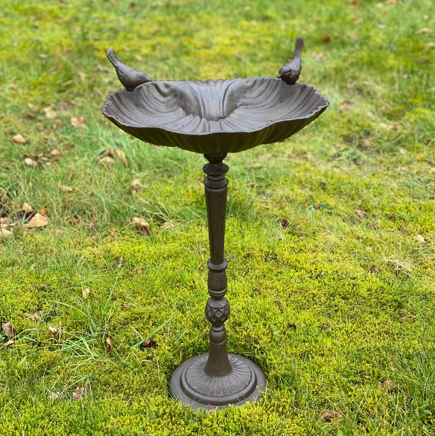 Windsor Cast Iron Bird Bath