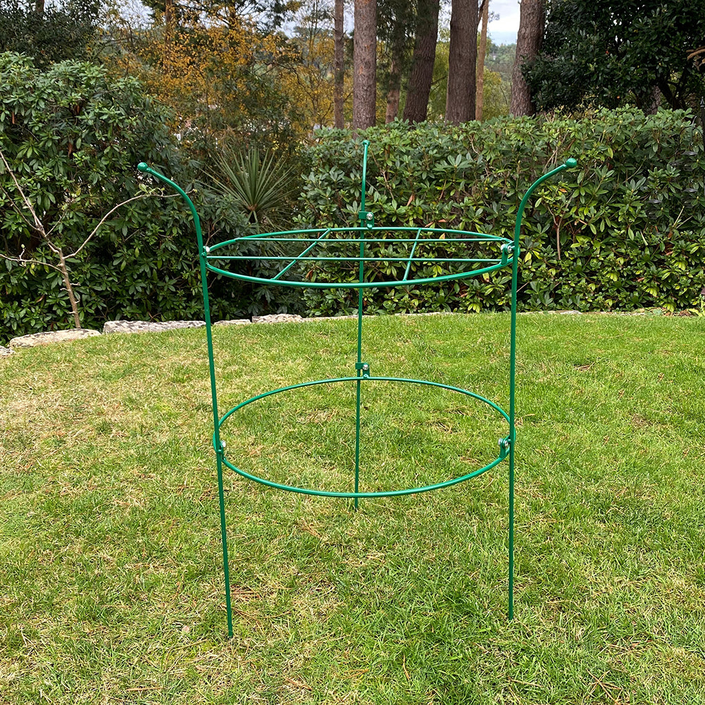 Pack of 3 Peony Circular Metal Plant Supports (73cm)