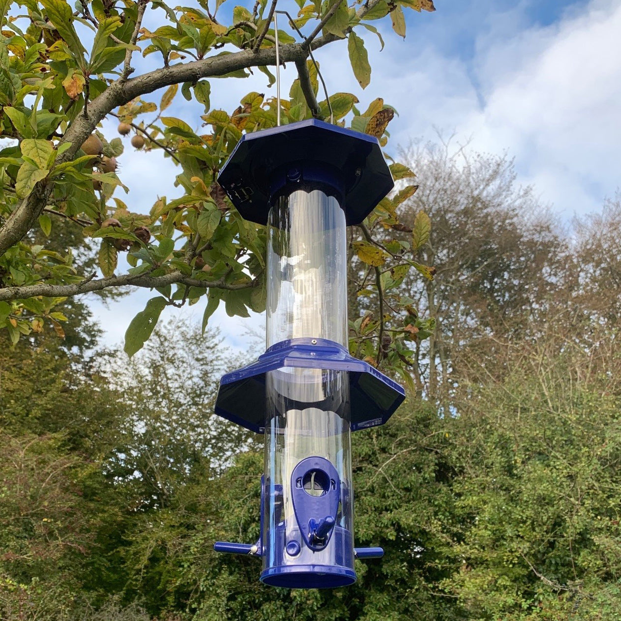 Squirrel Proof Hanging Bird Seed Feeder