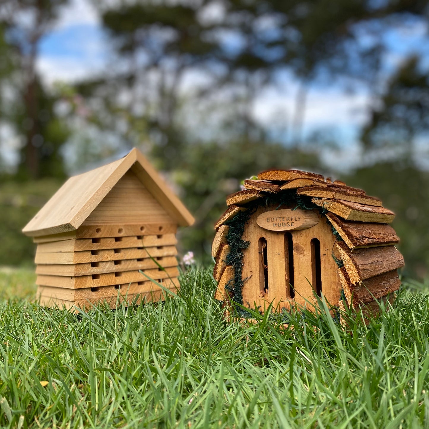 Wooden Solitary Bee Hive Hotel Habitat & Hanging Butterfly House