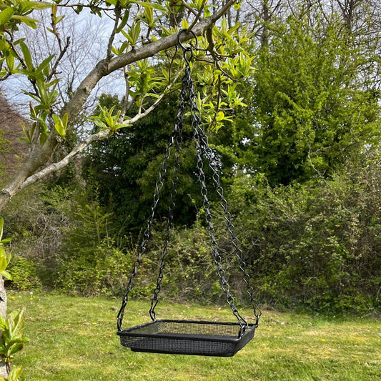 Hanging Metal Bird Seed & Nut Feeder Tray