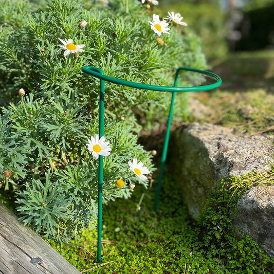 Garden Hoop Plant Bow Support System 20cm x 35cm (Pack of 4)