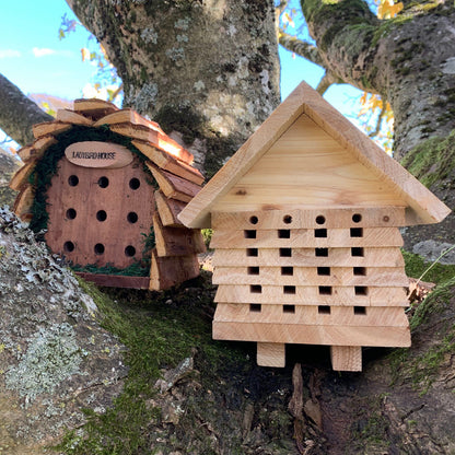 Wooden Solitary Bee Hive Hotel Habitat & Hanging Ladybird Hotel