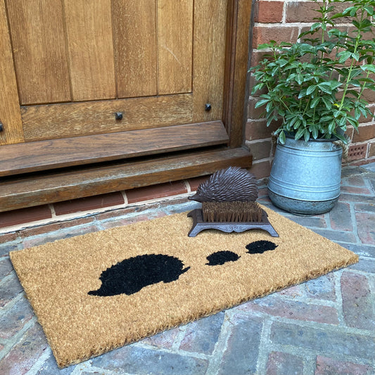 Hedgehog Doormat and Boot Brush Set