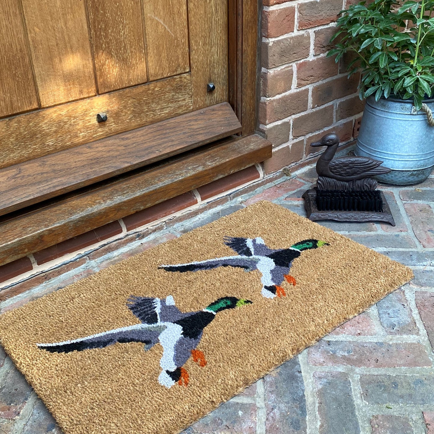 Flying Duck Doormat and Boot Brush Set