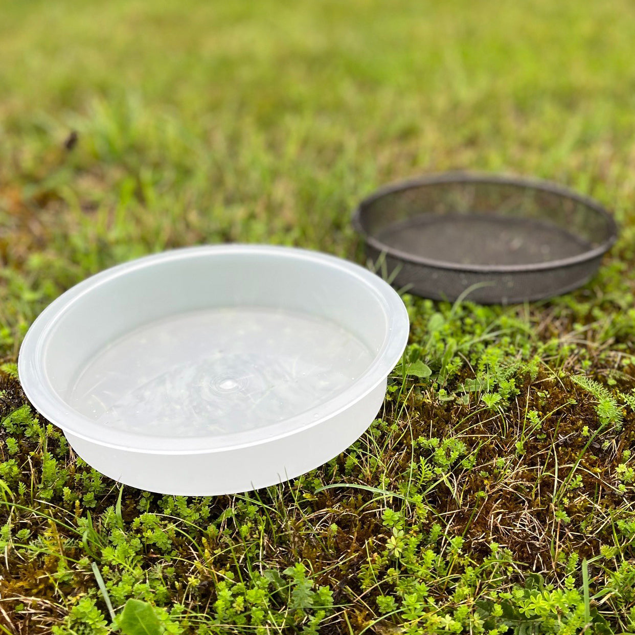 Water Dish & Mesh Seed Dish Set for Selections Metal Bird Feeding Stations