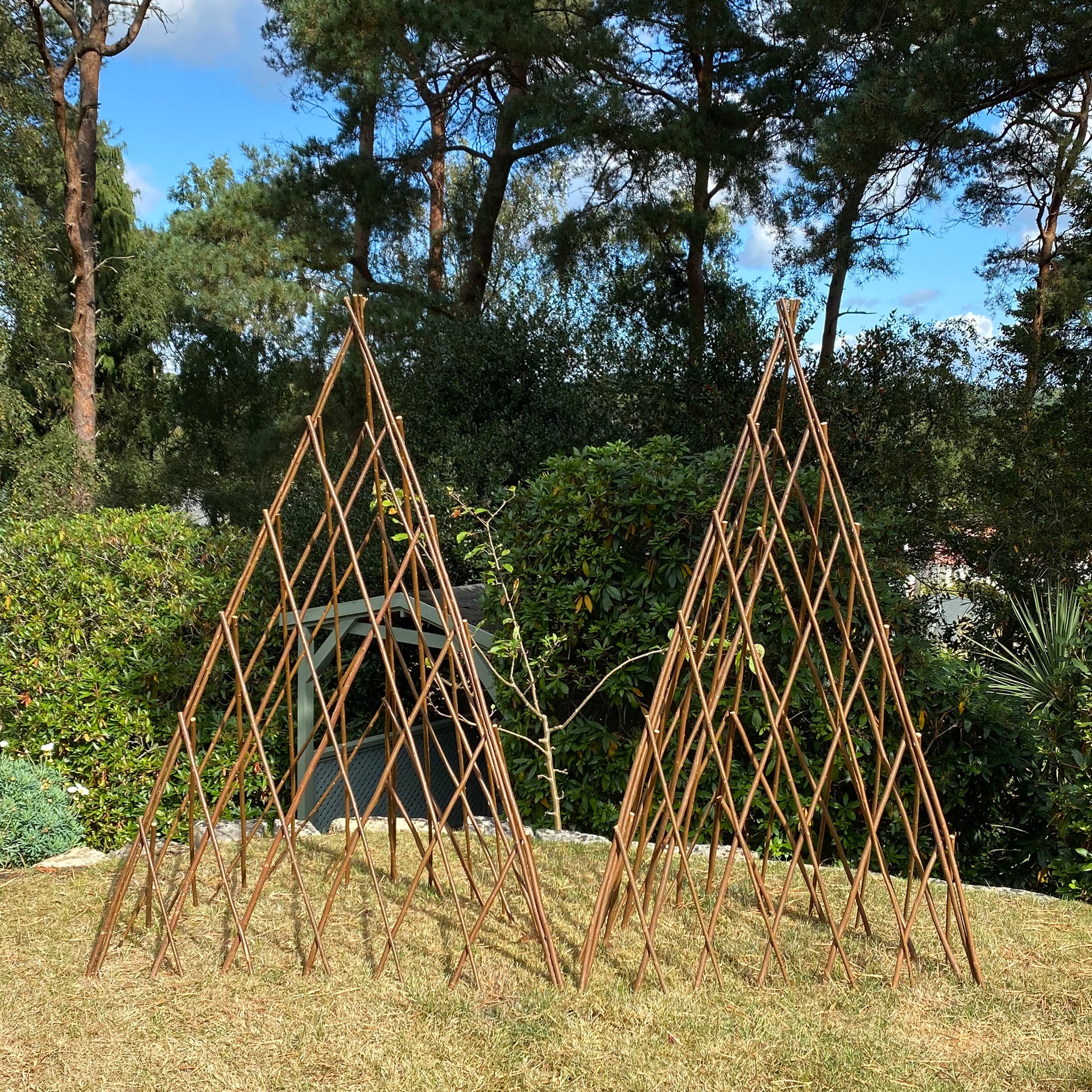 Expanding Willow Obelisks Garden Plant Support Pack 2