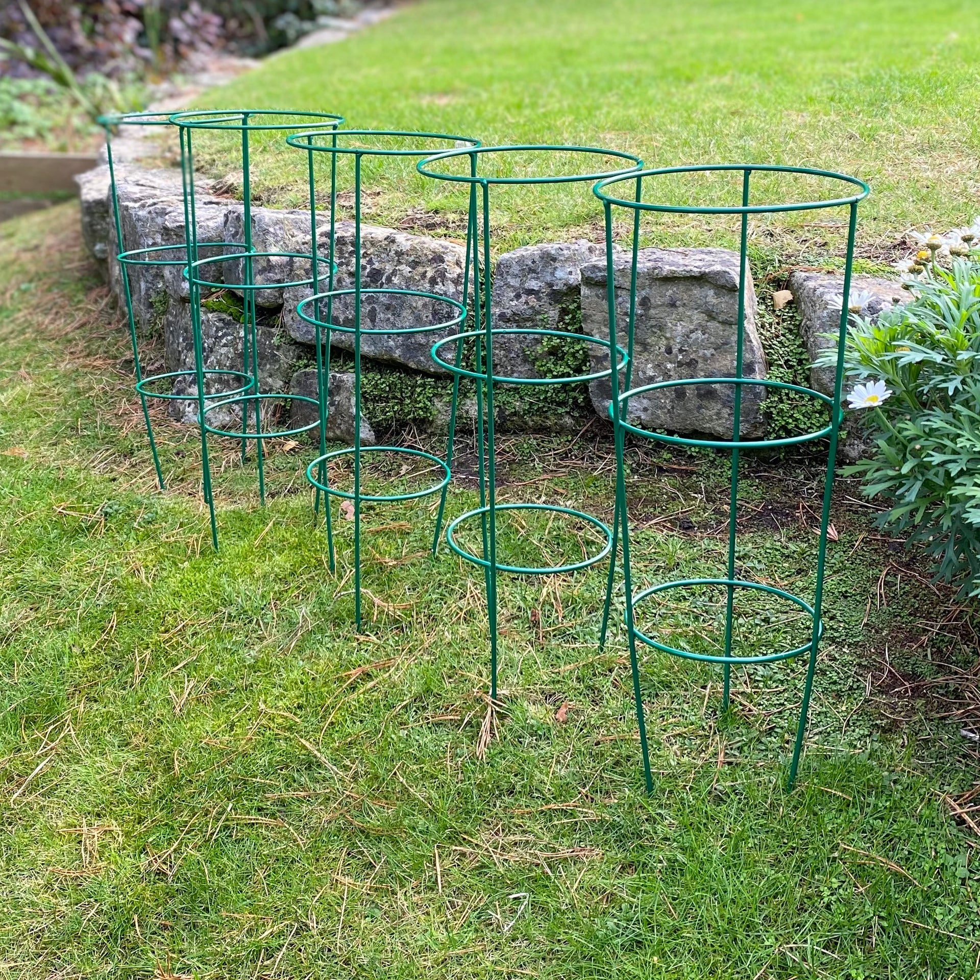 Conical Metal Garden Herbaceous Plant Support Rings Pack 5