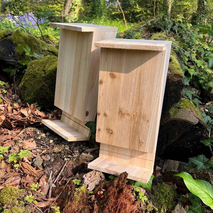Set of 2 Wooden Bat Boxes with Landing Perch