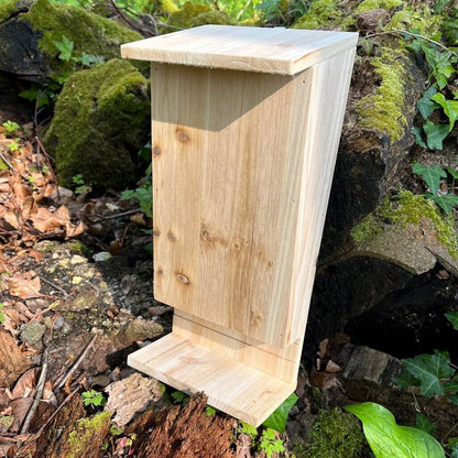 Wooden Bat Box with Landing Perch